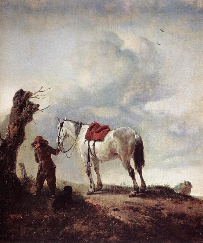 WOUWERMAN, Philips The White Horse qrt Spain oil painting art